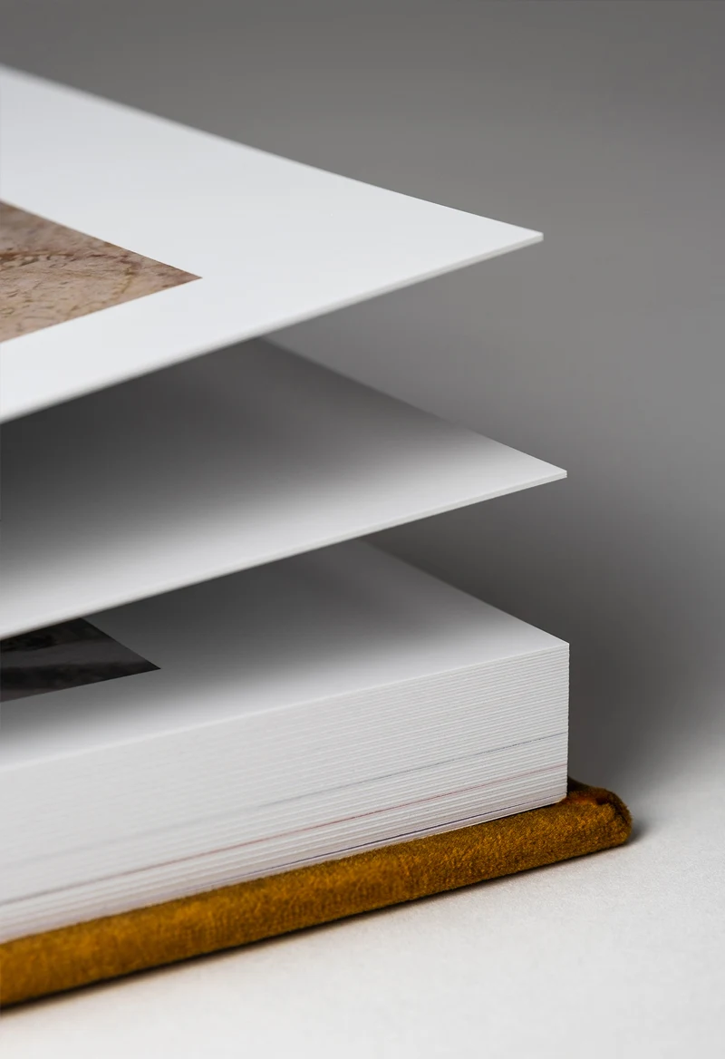 Detalle 5