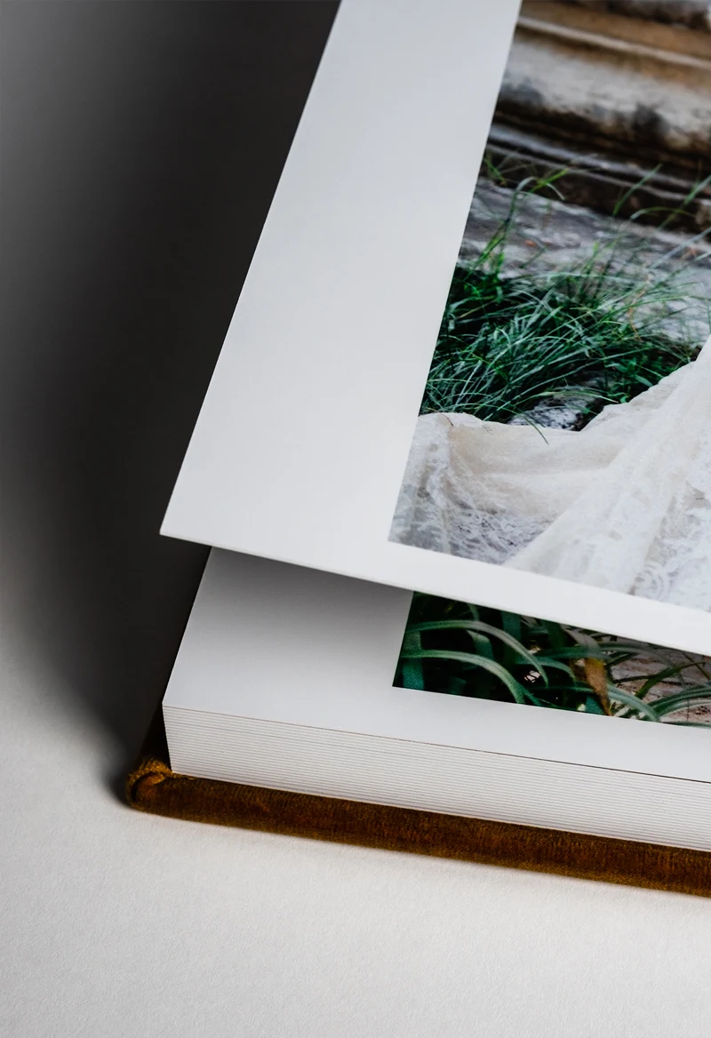 Detalle 8