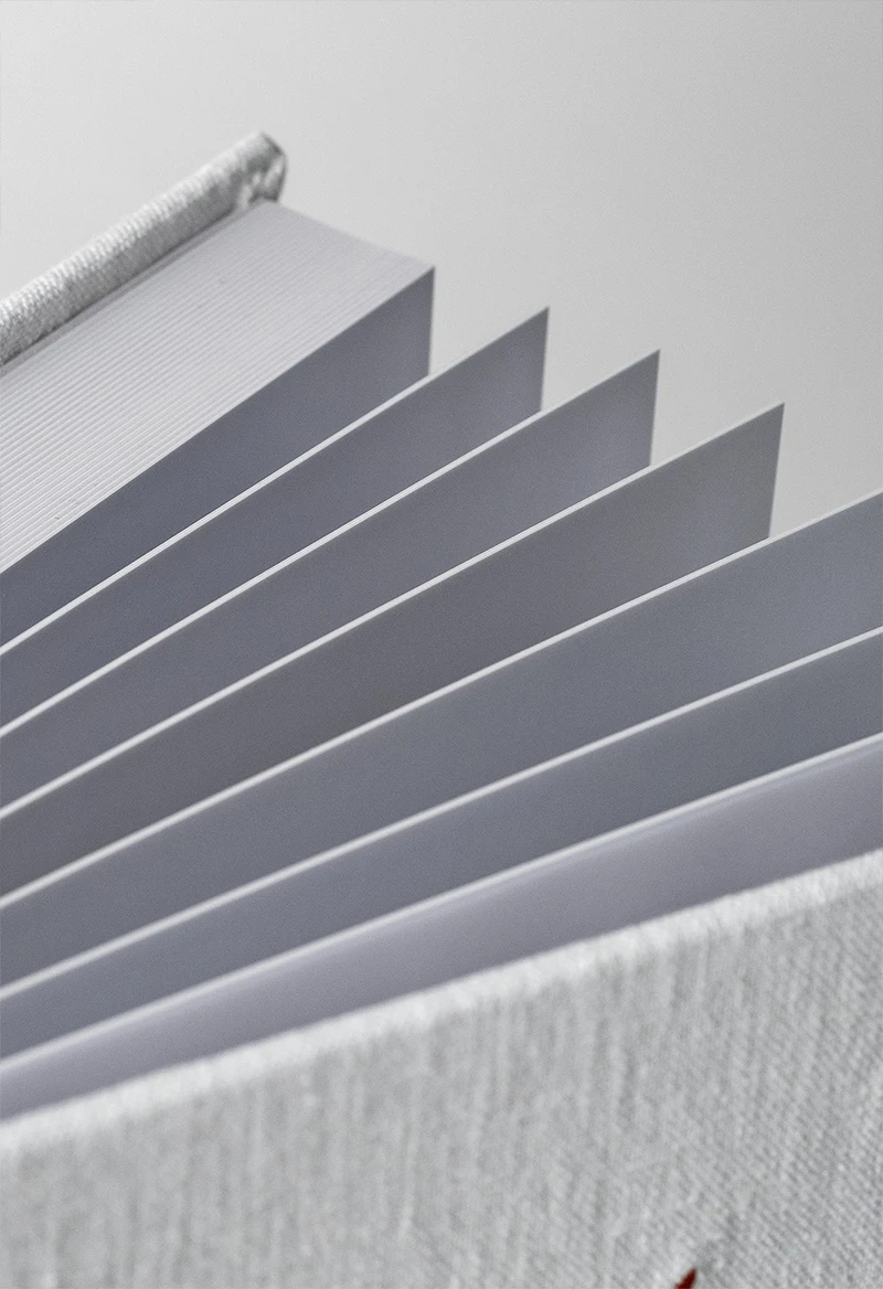 Detalle 6