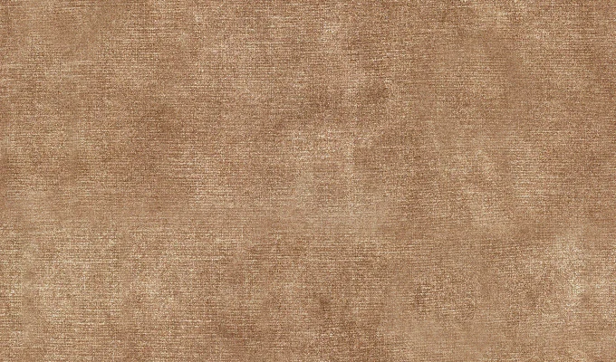 Tierra trigo
