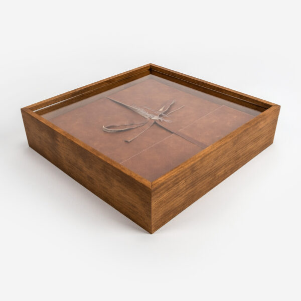 Caja Corteza Vista para álbum